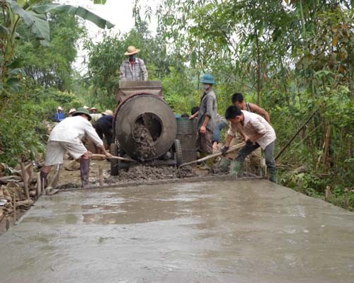 L’Association des agriculteurs vietnamiens engagée dans le développement culturel - ảnh 1